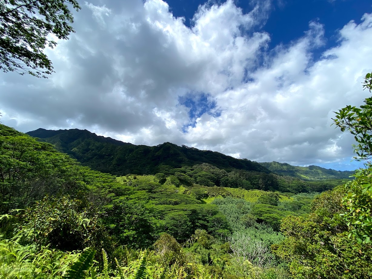 Makaleha Mountain